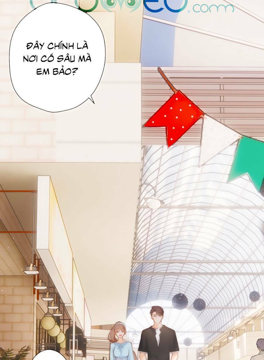 Lại Gặp Được Em: Chapter 148.8