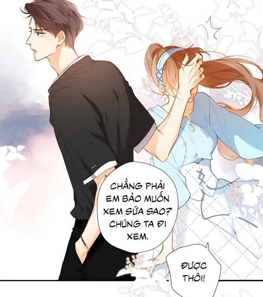 Lại Gặp Được Em: Chapter 148.8