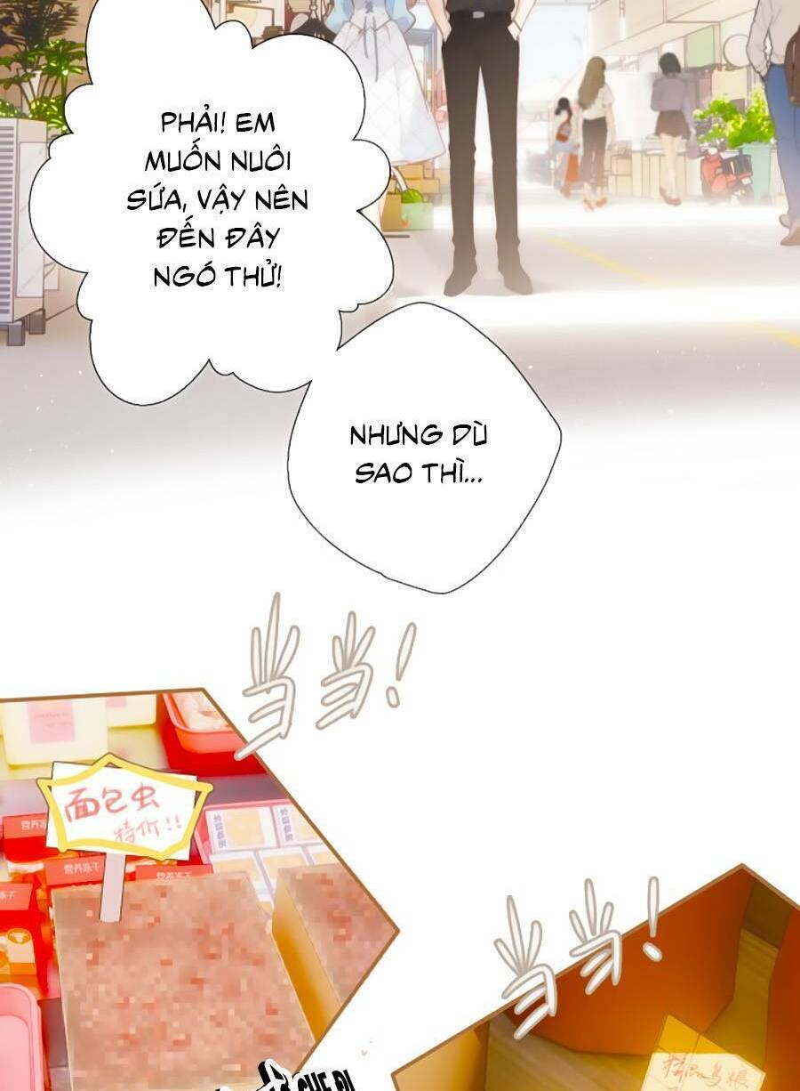 Lại Gặp Được Em: Chapter 148.8