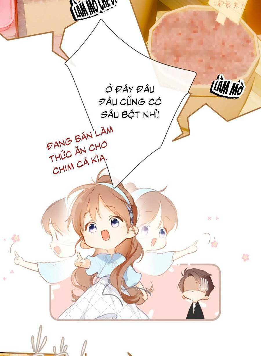 Lại Gặp Được Em: Chapter 148.8