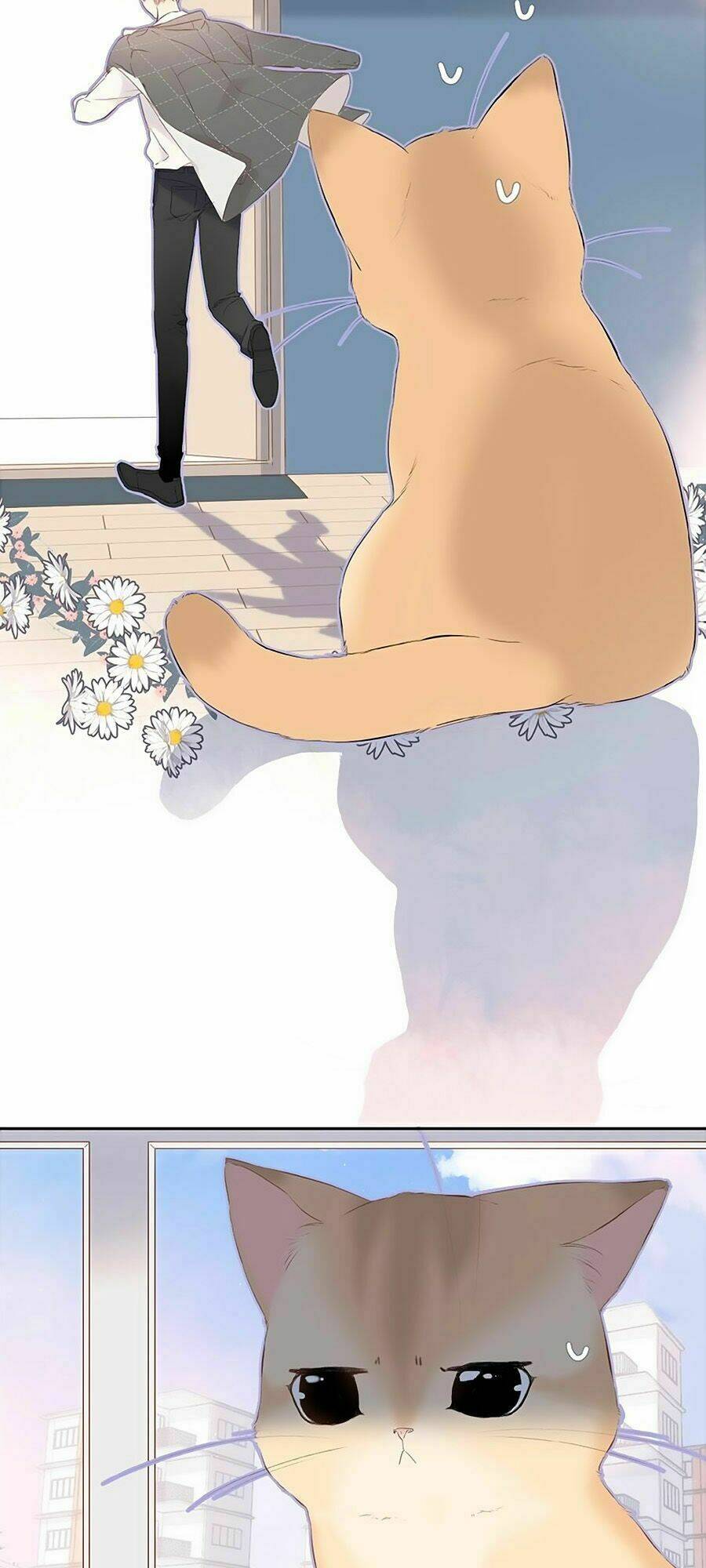 Lại Gặp Được Em: Chapter 16