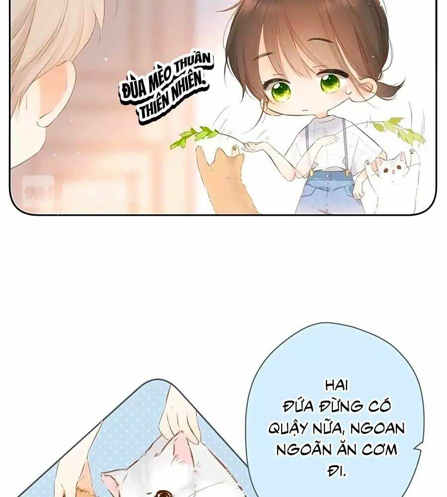 Lại Gặp Được Em: Chapter 40.5