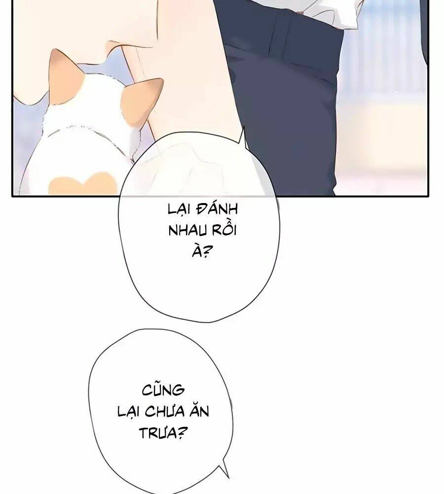 Lại Gặp Được Em: Chapter 42