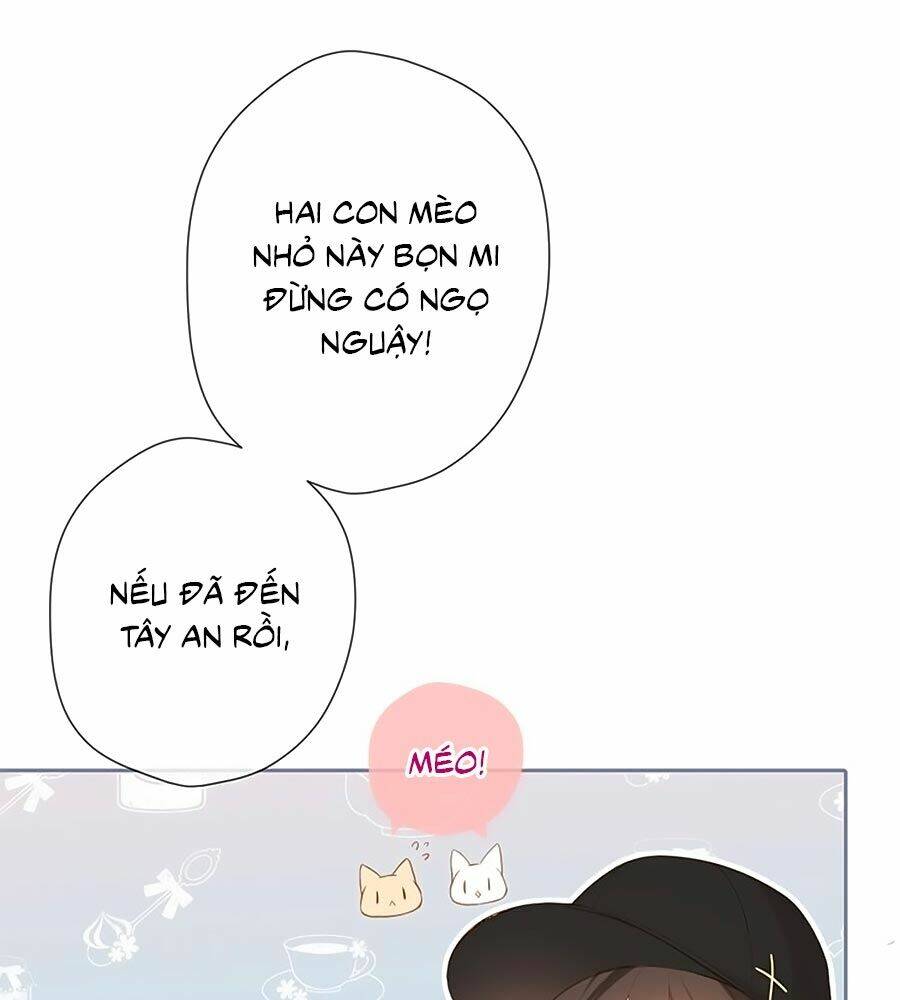 Lại Gặp Được Em: Chapter 54.5