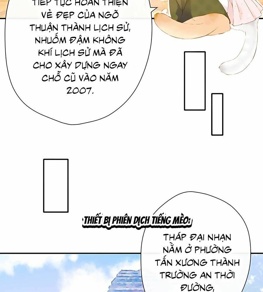 Lại Gặp Được Em: Chapter 54.5