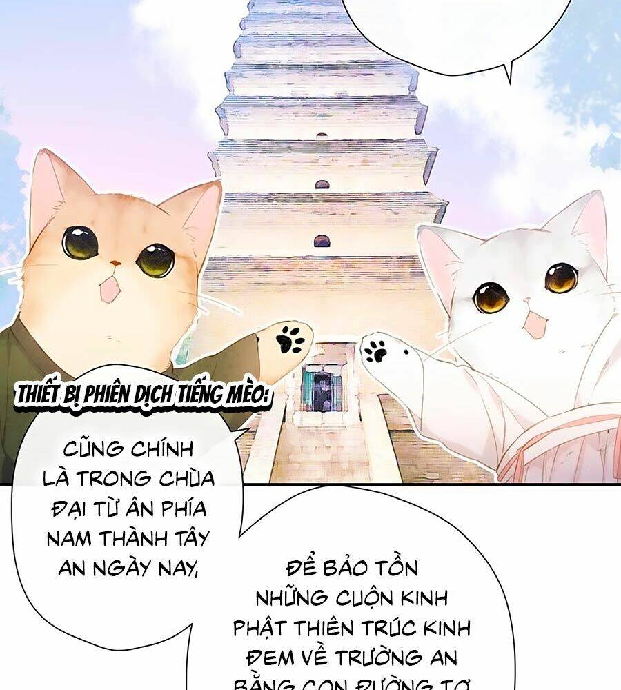 Lại Gặp Được Em: Chapter 54.5
