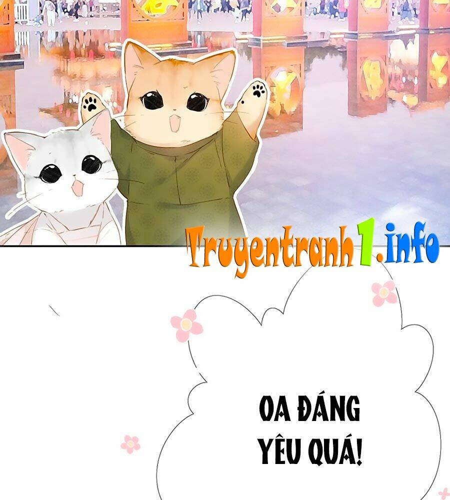 Lại Gặp Được Em: Chapter 54.5