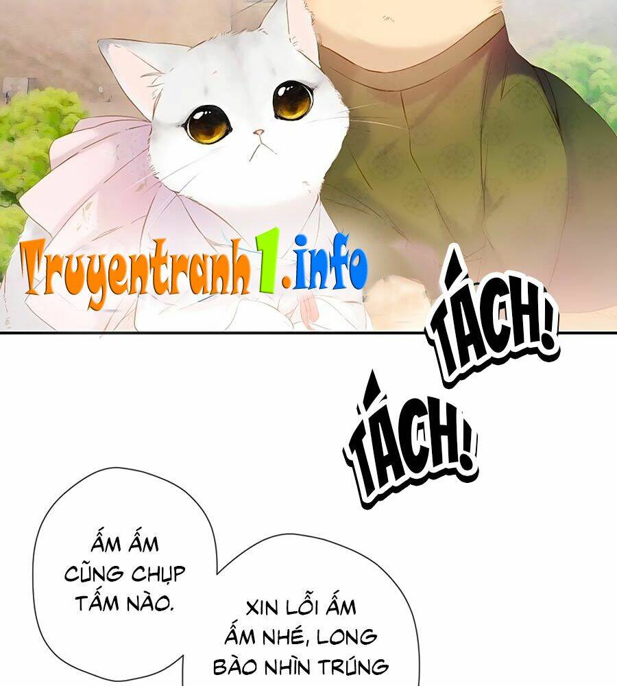Lại Gặp Được Em: Chapter 54.5