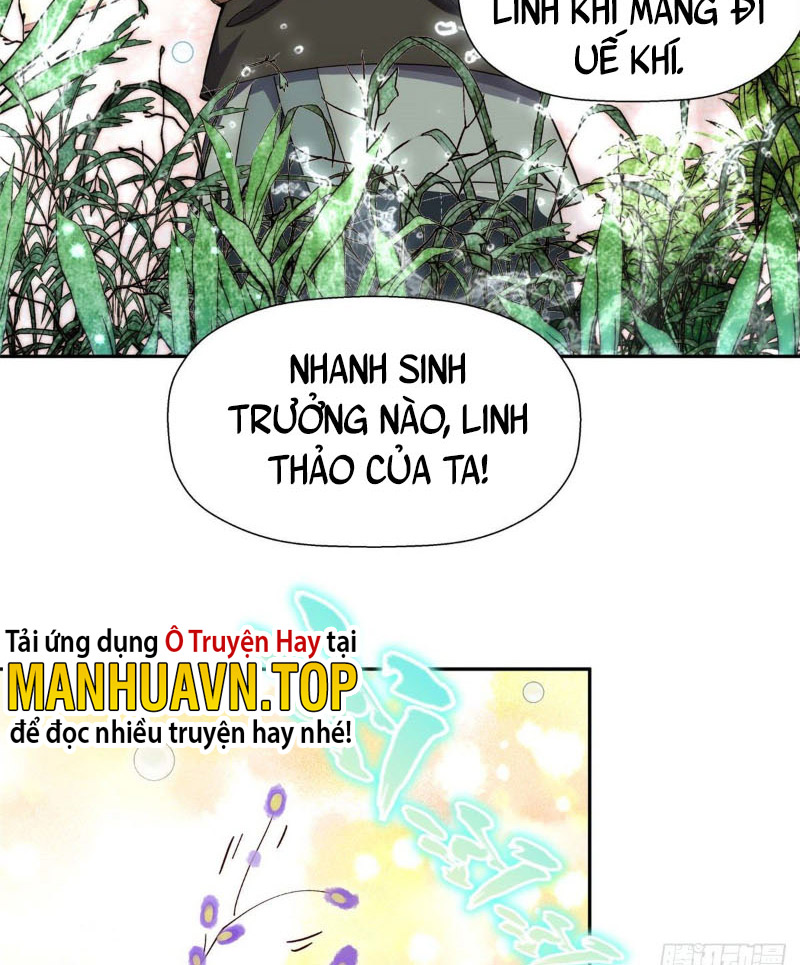 Lặng Lẽ Tu Luyện Ngàn Năm Với Đỉnh Cấp Khí Vận: Chapter 3