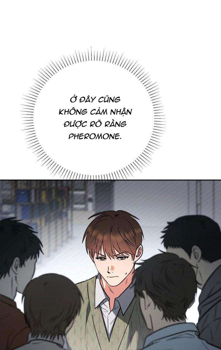 Lãng Mạn Đừng Lãng Xẹt: Chapter 11