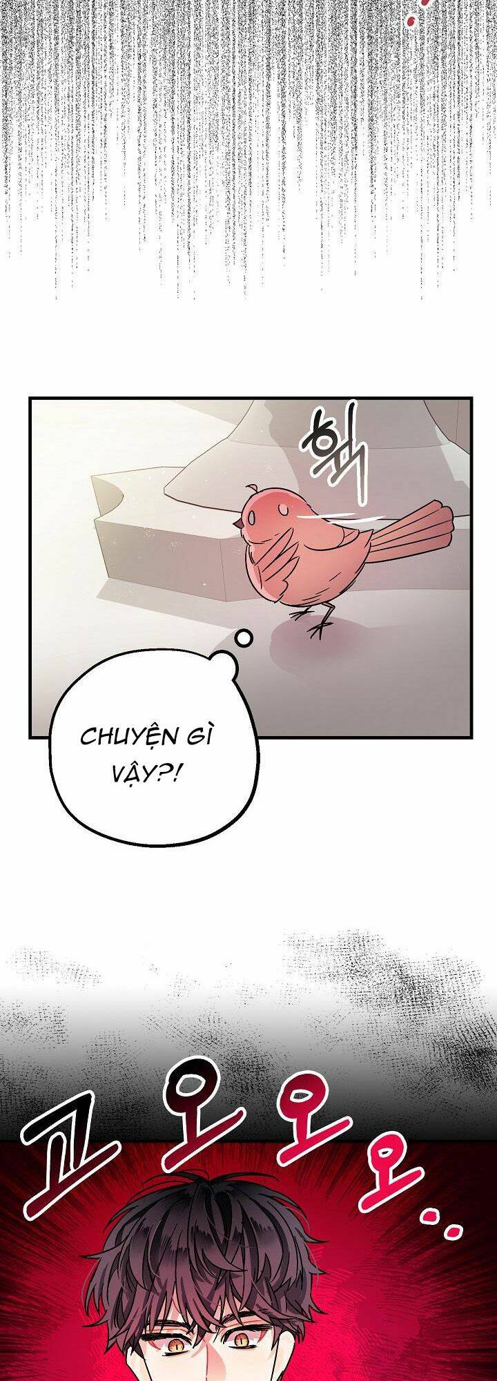 Liều Thuốc An Thần Của Bạo Chúa: Chapter 4