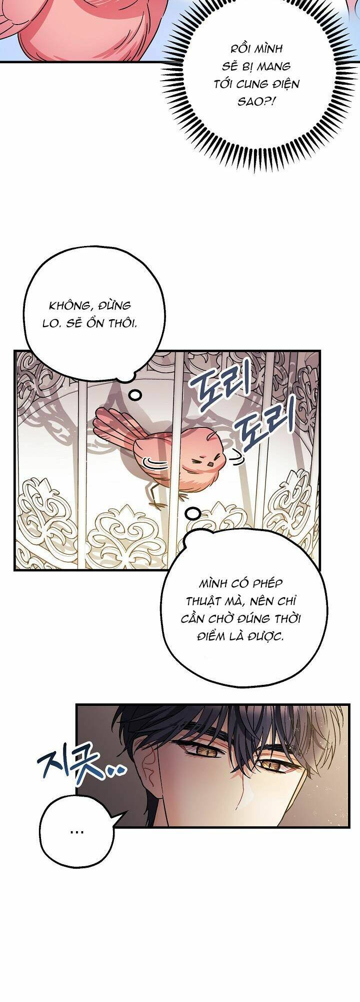 Liều Thuốc An Thần Của Bạo Chúa: Chapter 5