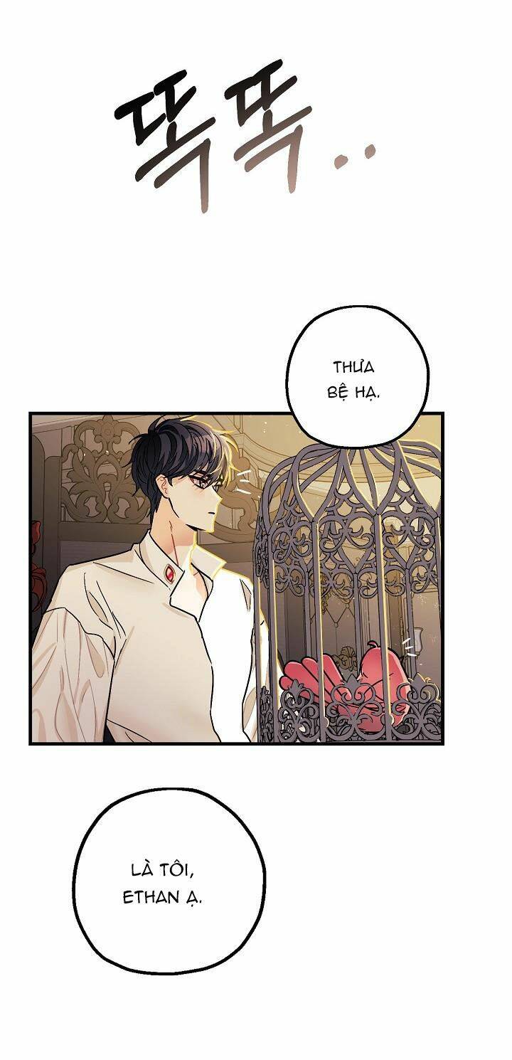 Liều Thuốc An Thần Của Bạo Chúa: Chapter 5