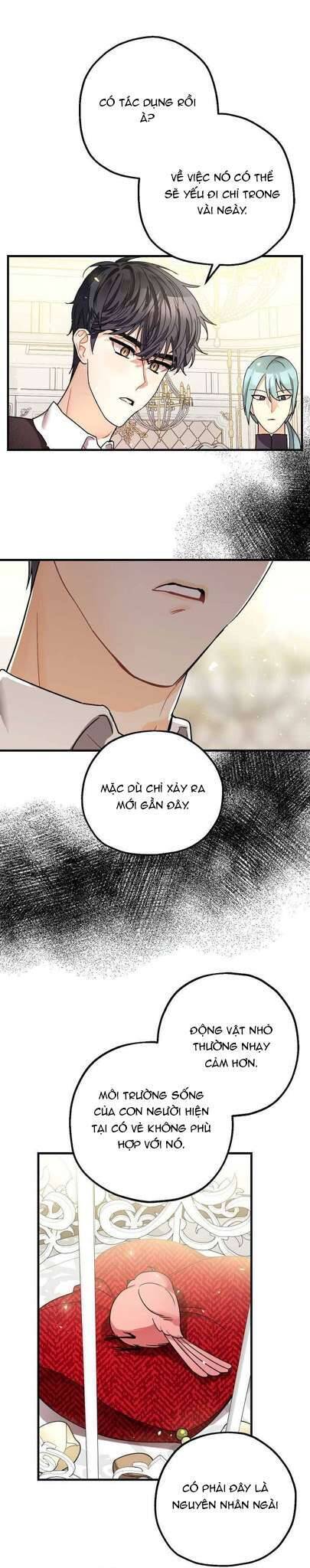 Liều Thuốc An Thần Của Bạo Chúa: Chapter 7