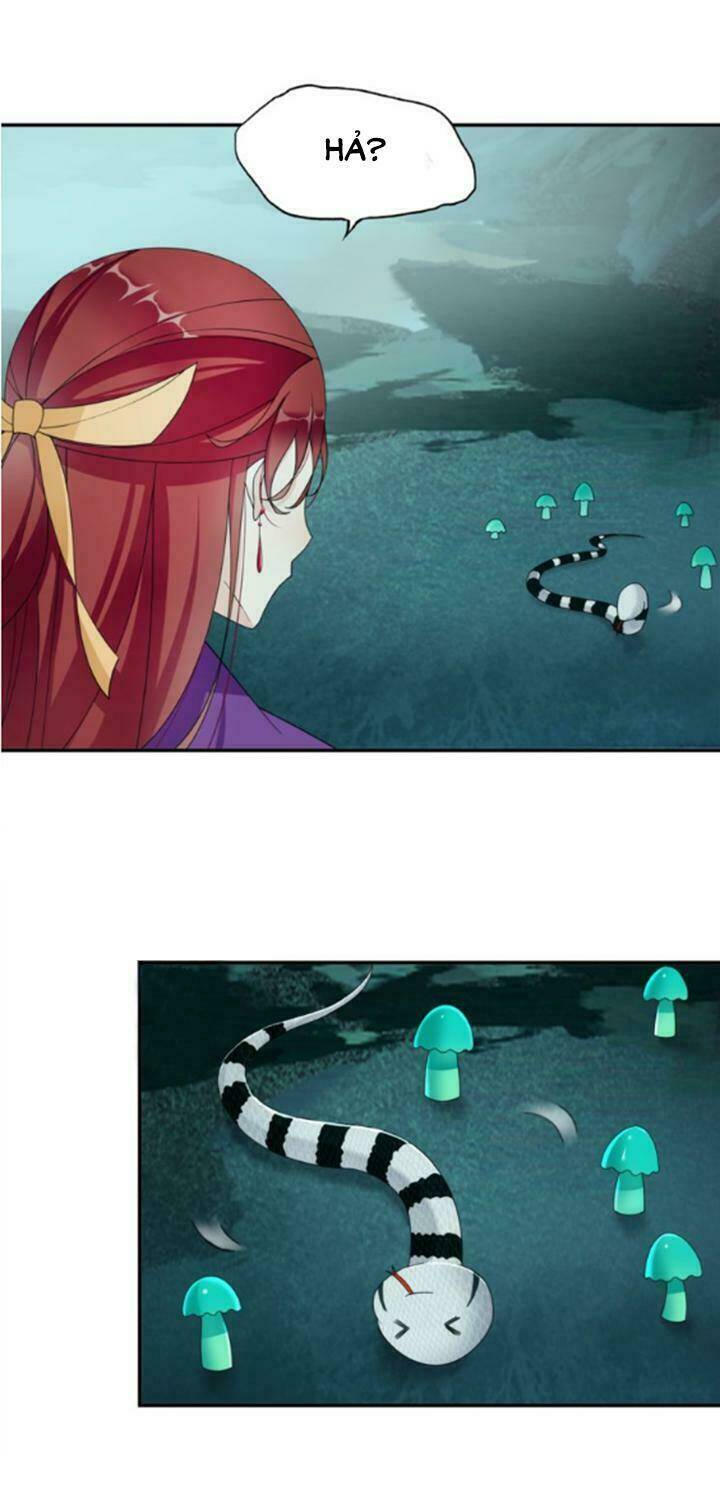 Ma Quân Đại Nhân, Phu Nhân Lại Trốn Rồi!: Chapter 16