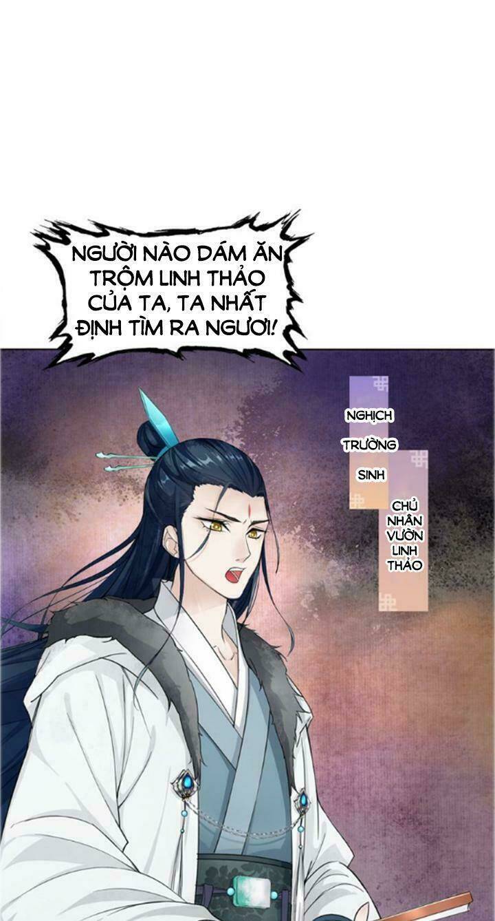 Ma Quân Đại Nhân, Phu Nhân Lại Trốn Rồi!: Chapter 17