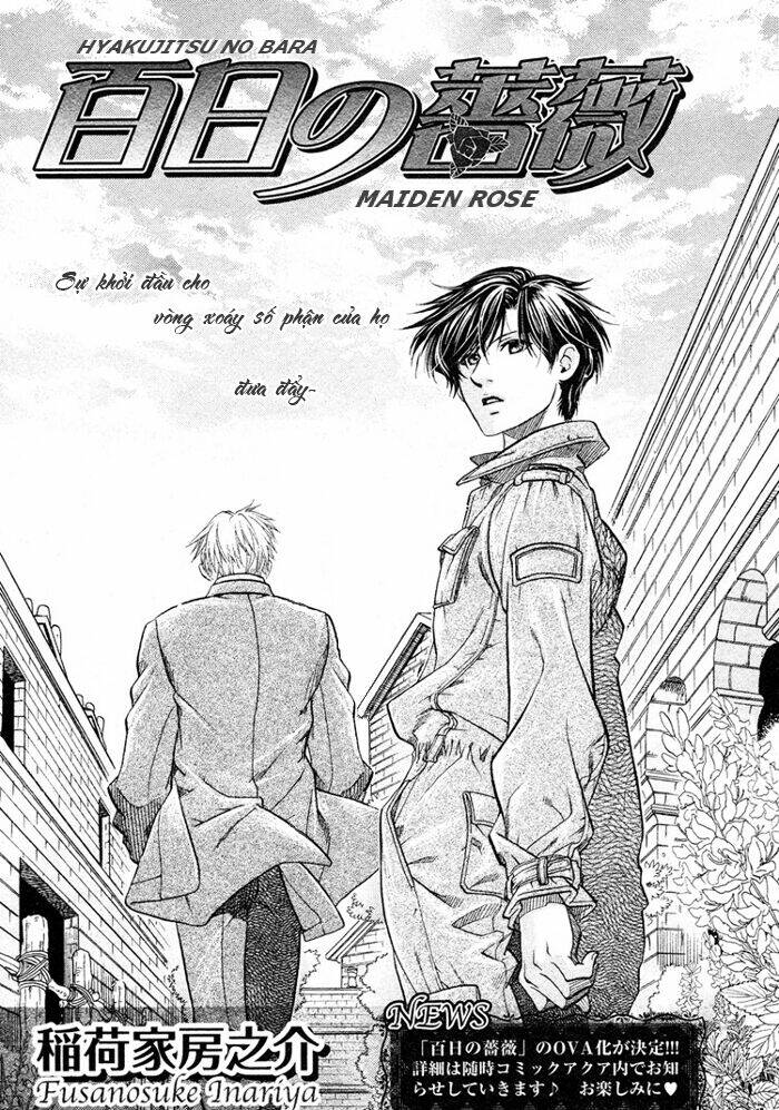 Maiden Rose: Chapter 14