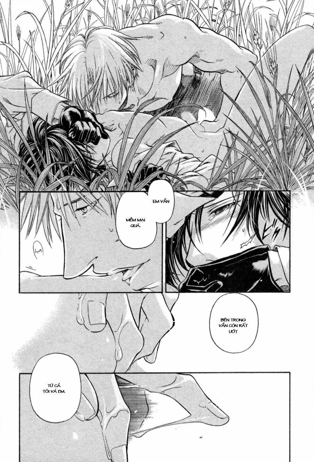 Maiden Rose: Chapter 21