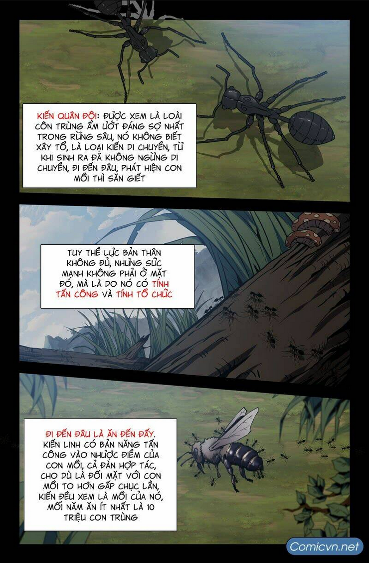 Mạnh Nhất Lịch Sử: Chapter 28