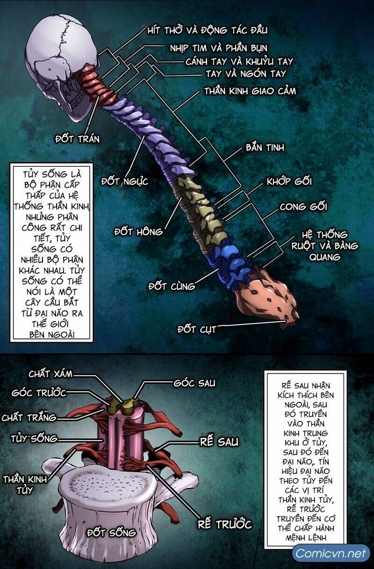 Mạnh Nhất Lịch Sử: Chapter 43