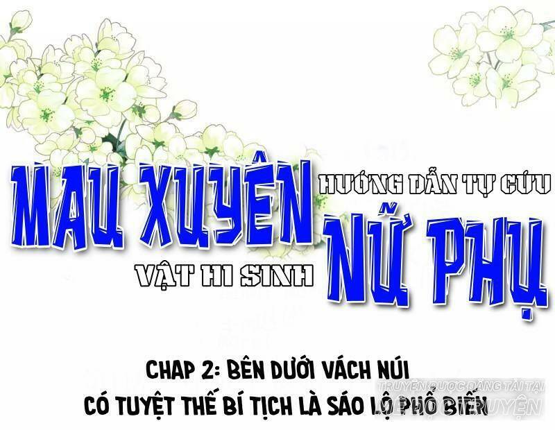 Mau Xuyên Hướng Dẫn Tự Cứu Vật Hi Sinh Nữ Phụ: Chapter 2