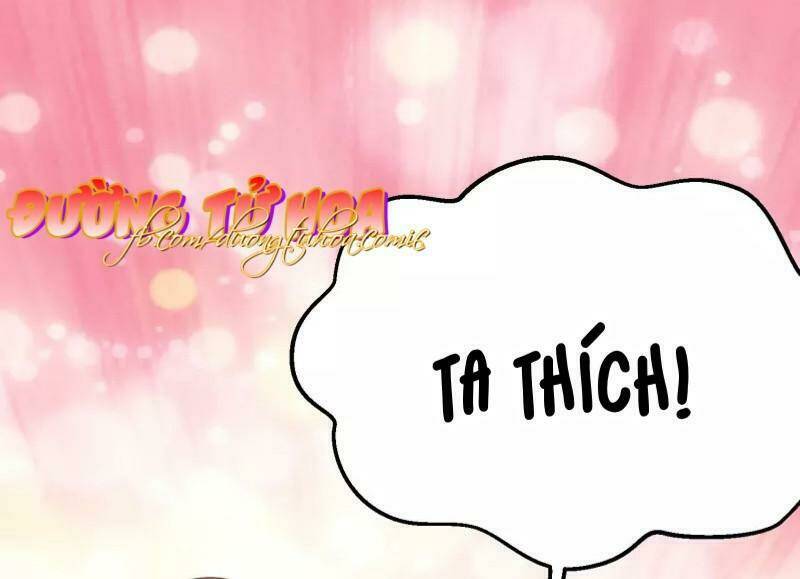 Mau Xuyên Hướng Dẫn Tự Cứu Vật Hi Sinh Nữ Phụ: Chapter 2