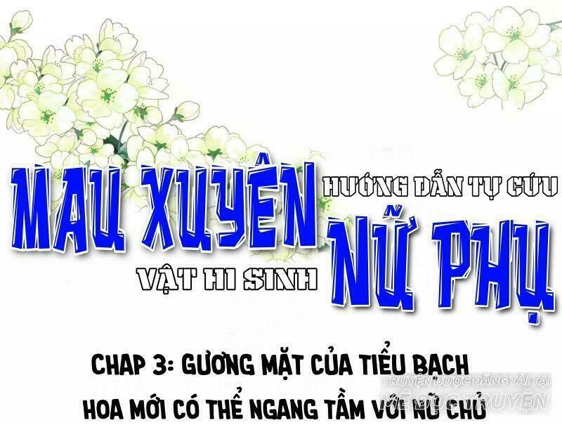 Mau Xuyên Hướng Dẫn Tự Cứu Vật Hi Sinh Nữ Phụ: Chapter 3
