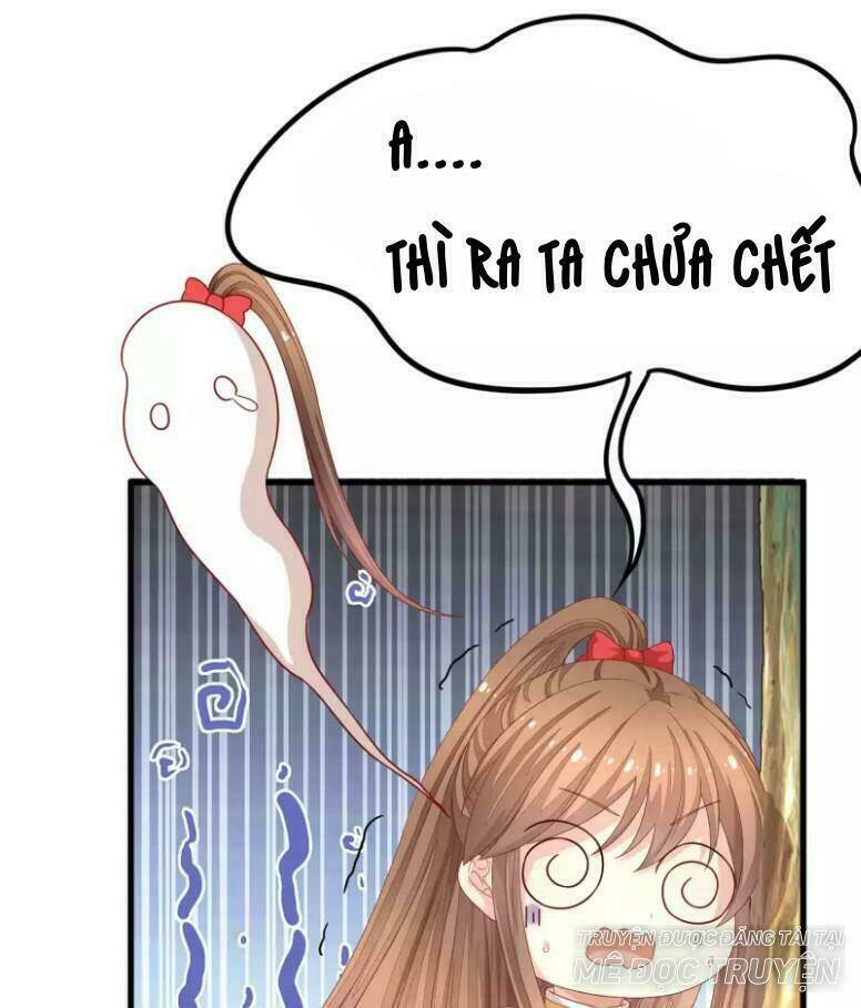 Mau Xuyên Hướng Dẫn Tự Cứu Vật Hi Sinh Nữ Phụ: Chapter 3