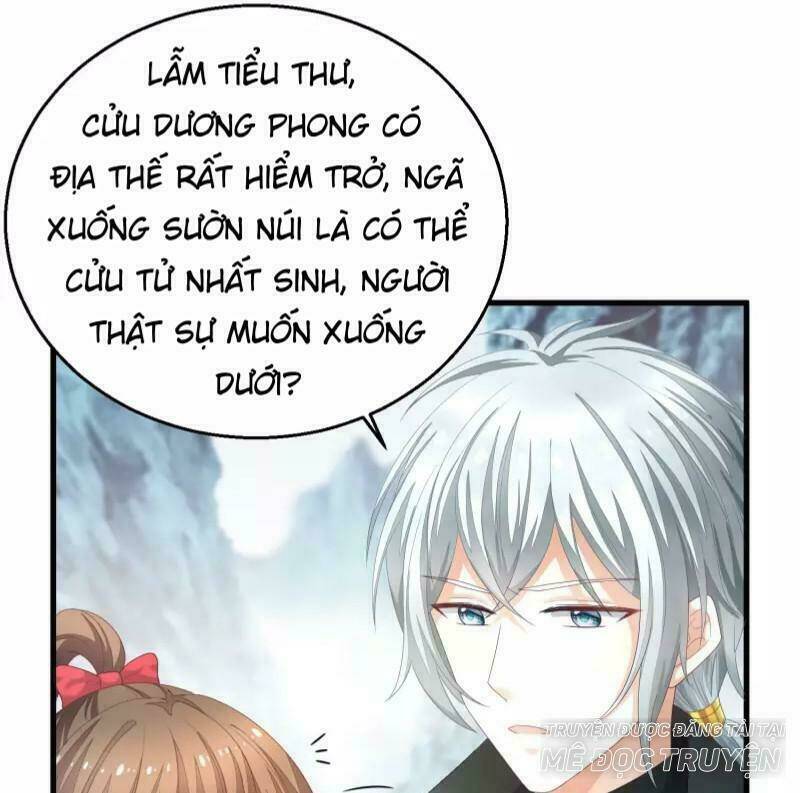 Mau Xuyên Hướng Dẫn Tự Cứu Vật Hi Sinh Nữ Phụ: Chapter 3