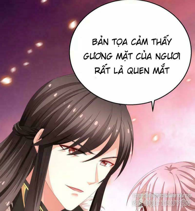 Mau Xuyên Hướng Dẫn Tự Cứu Vật Hi Sinh Nữ Phụ: Chapter 4