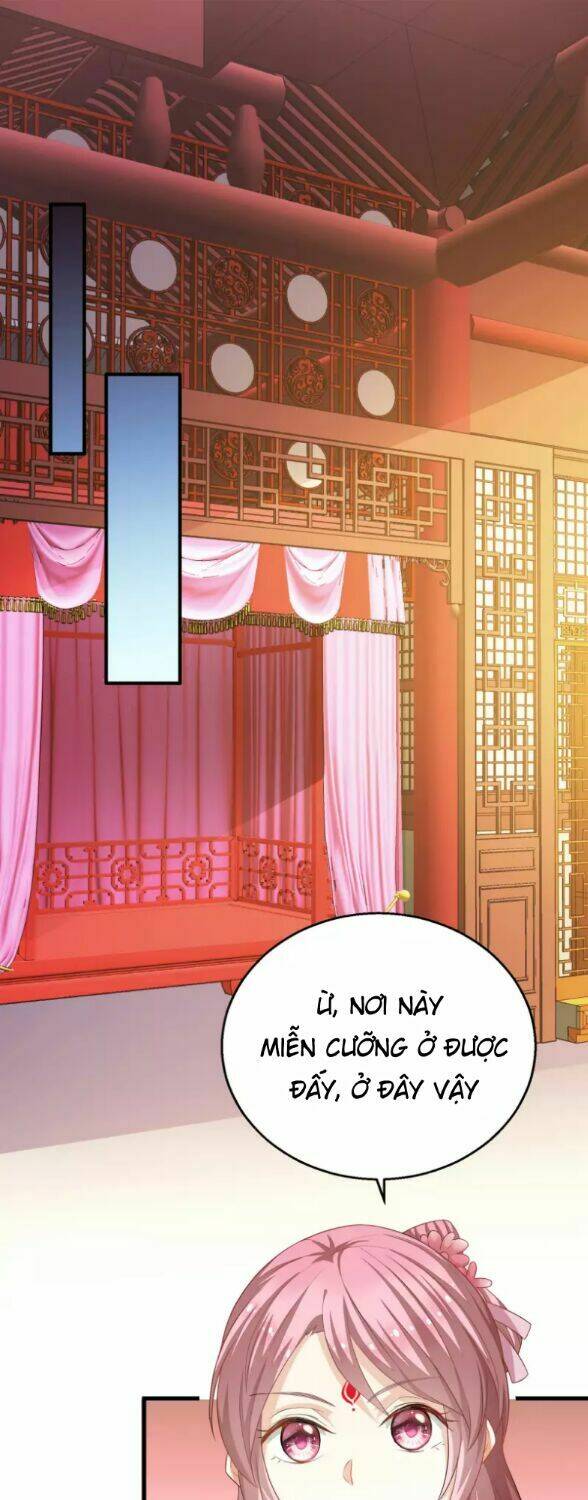 Mau Xuyên Hướng Dẫn Tự Cứu Vật Hi Sinh Nữ Phụ: Chapter 5