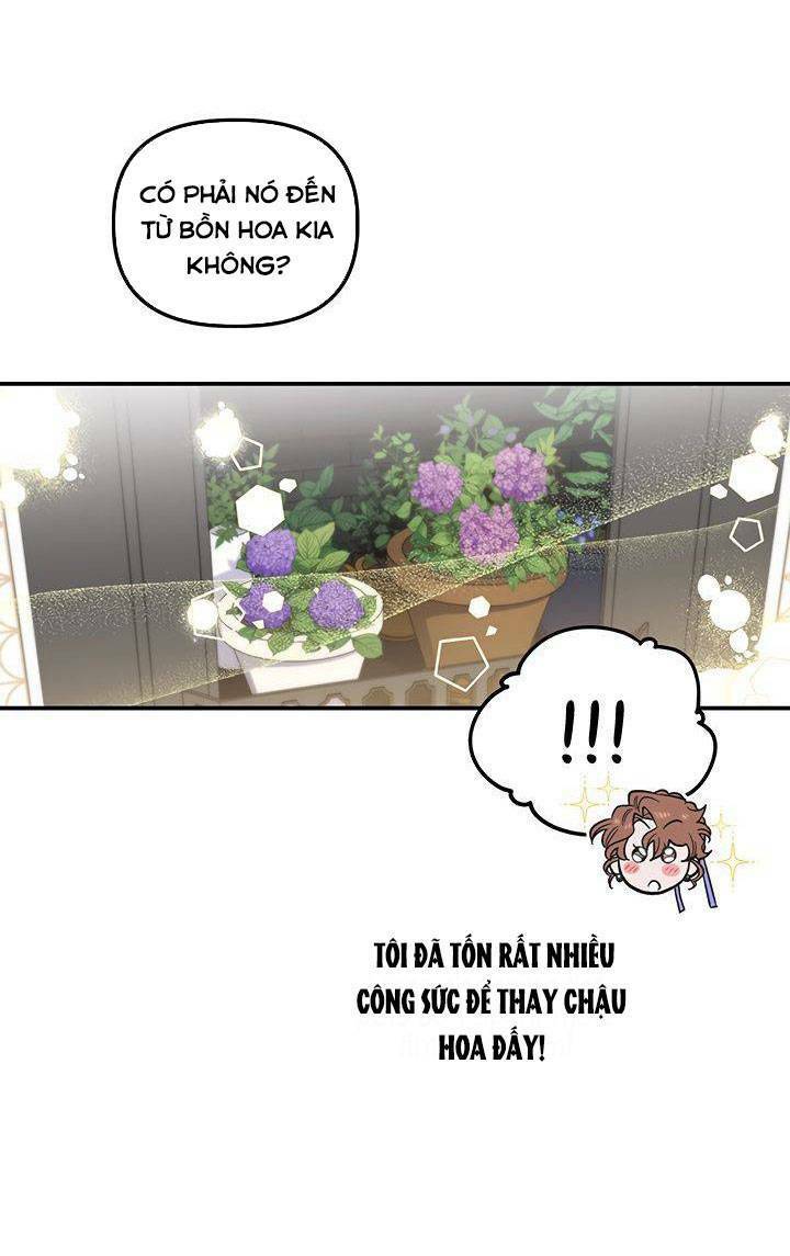 May Mắn Hay Bất Hạnh: Chapter 37