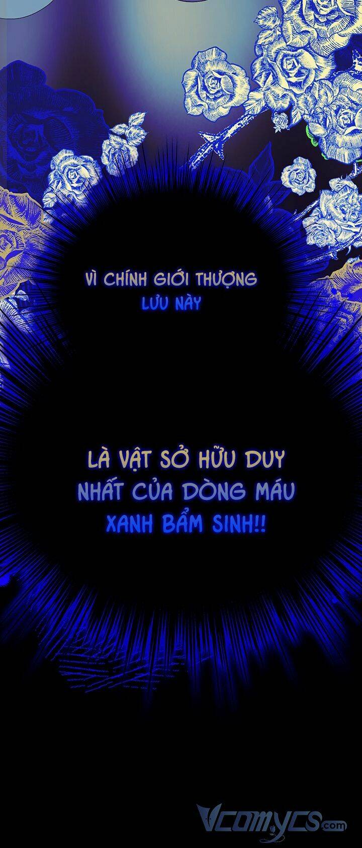May Mắn Hay Bất Hạnh: Chapter 62