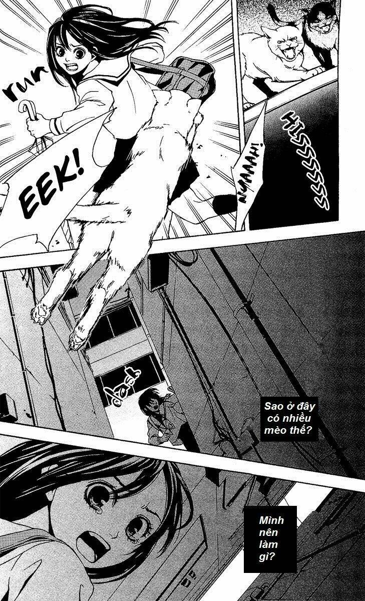Mayonaka No Ariadone: Chapter 1