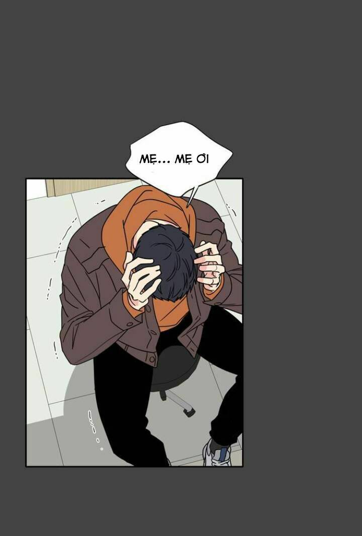 Mẹ Ơi, Con Xin Lỗi!: Chapter 1