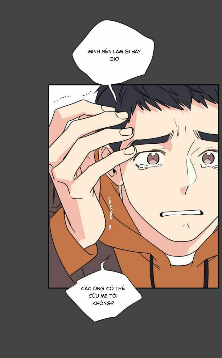 Mẹ Ơi, Con Xin Lỗi!: Chapter 1