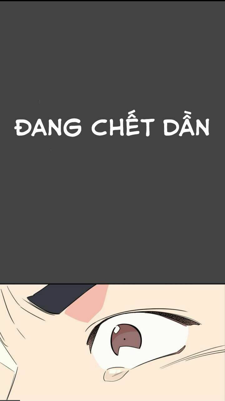 Mẹ Ơi, Con Xin Lỗi!: Chapter 1