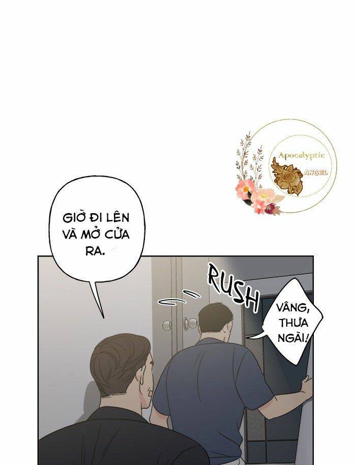 Mẹ Ơi, Con Xin Lỗi!: Chapter 17