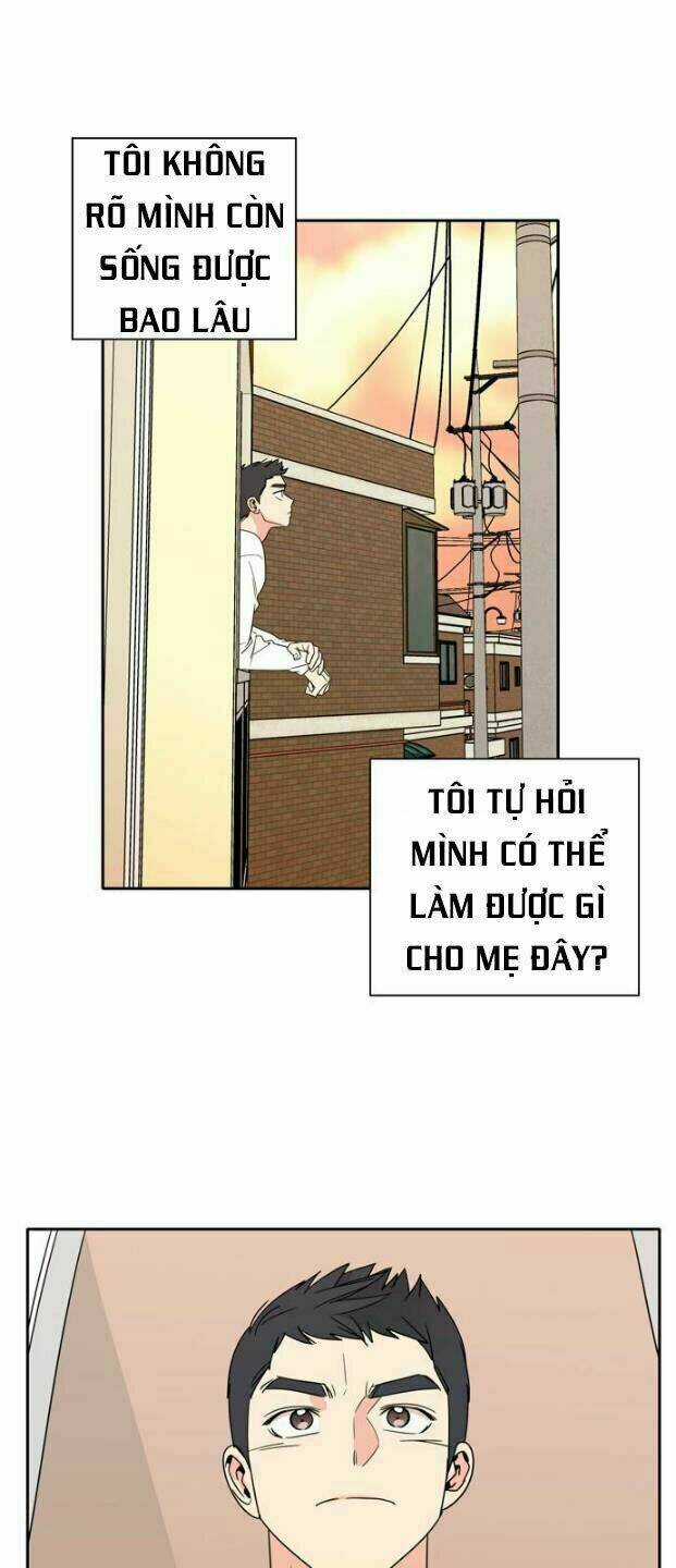 Mẹ Ơi, Con Xin Lỗi!: Chapter 2