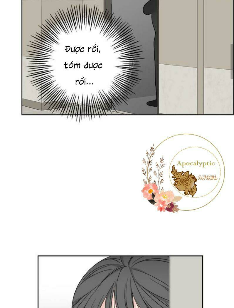 Mẹ Ơi, Con Xin Lỗi!: Chapter 24