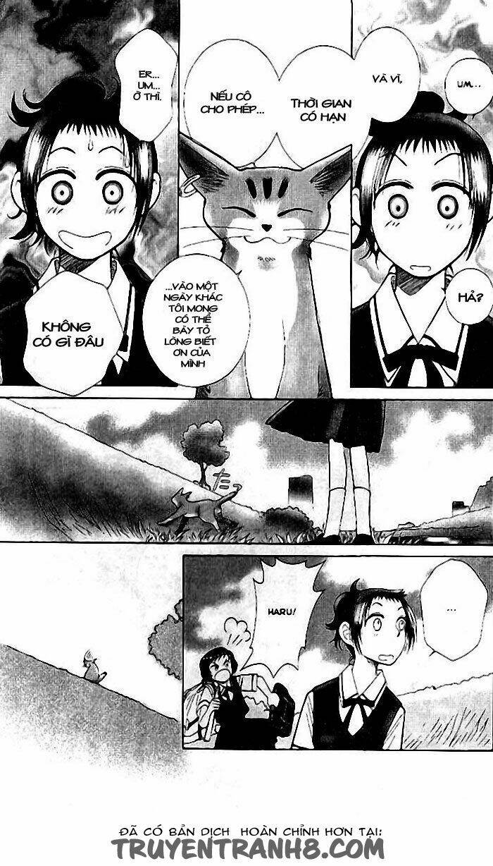 Tobaku Datenroku Kaiji: Chapter 6