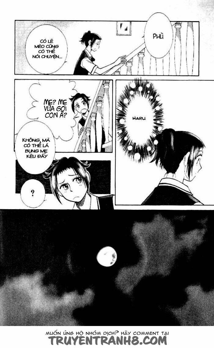 Tobaku Datenroku Kaiji: Chapter 6