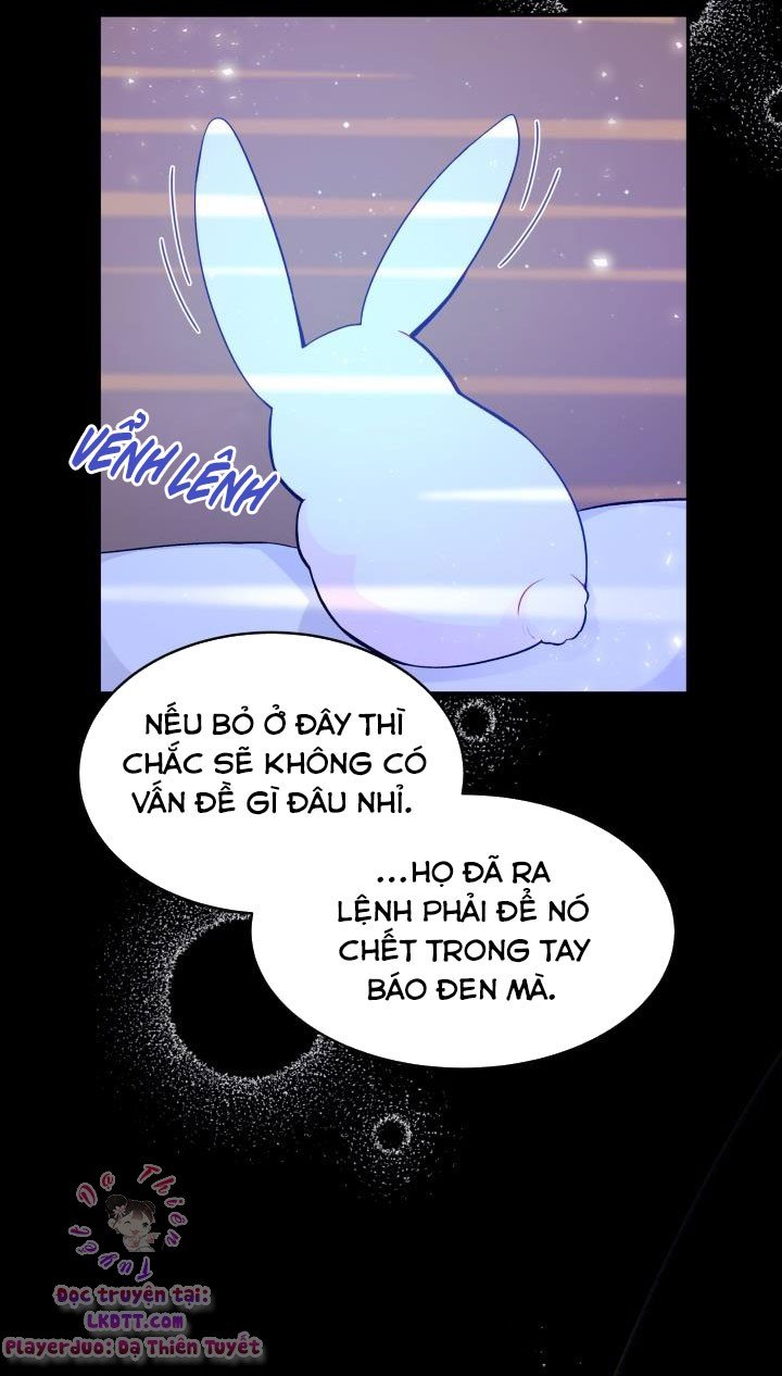 Mối Quan Hệ Cộng Sinh Giữa Báo Đen Và Thỏ Trắng: Chapter 1