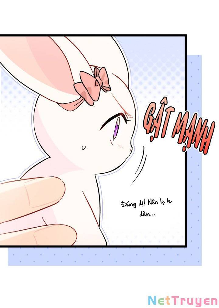 Mối Quan Hệ Cộng Sinh Giữa Báo Đen Và Thỏ Trắng: Chapter 101