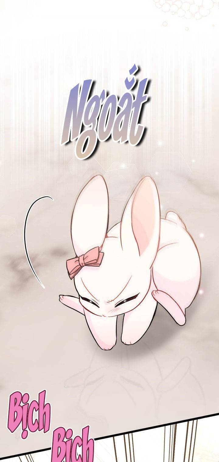 Mối Quan Hệ Cộng Sinh Giữa Báo Đen Và Thỏ Trắng: Chapter 101