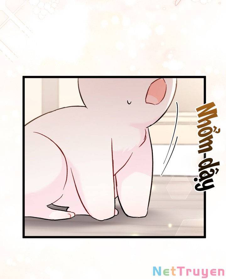 Mối Quan Hệ Cộng Sinh Giữa Báo Đen Và Thỏ Trắng: Chapter 101