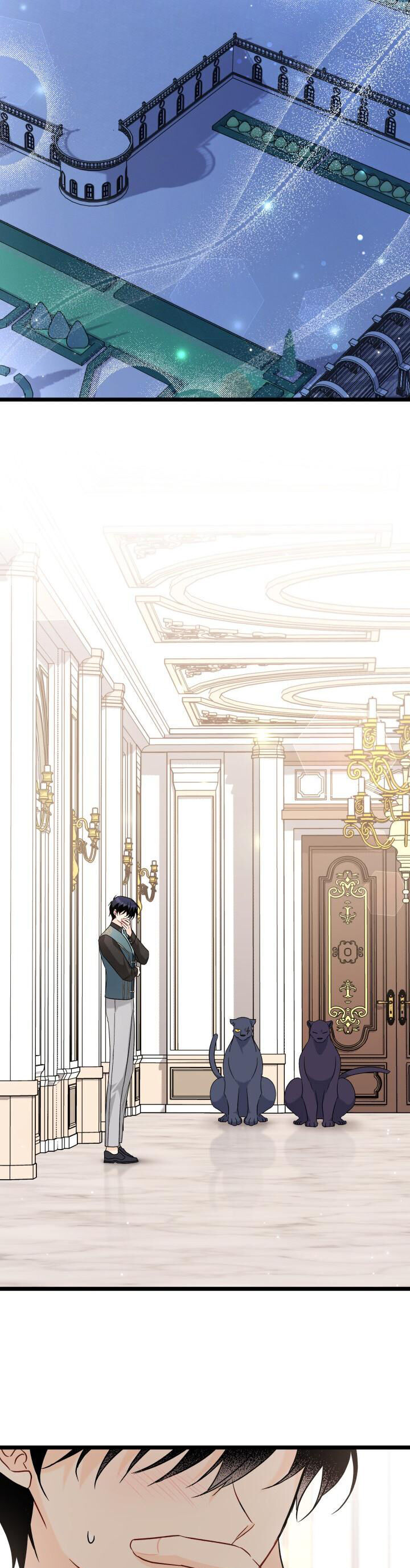 Mối Quan Hệ Cộng Sinh Giữa Báo Đen Và Thỏ Trắng: Chapter 102