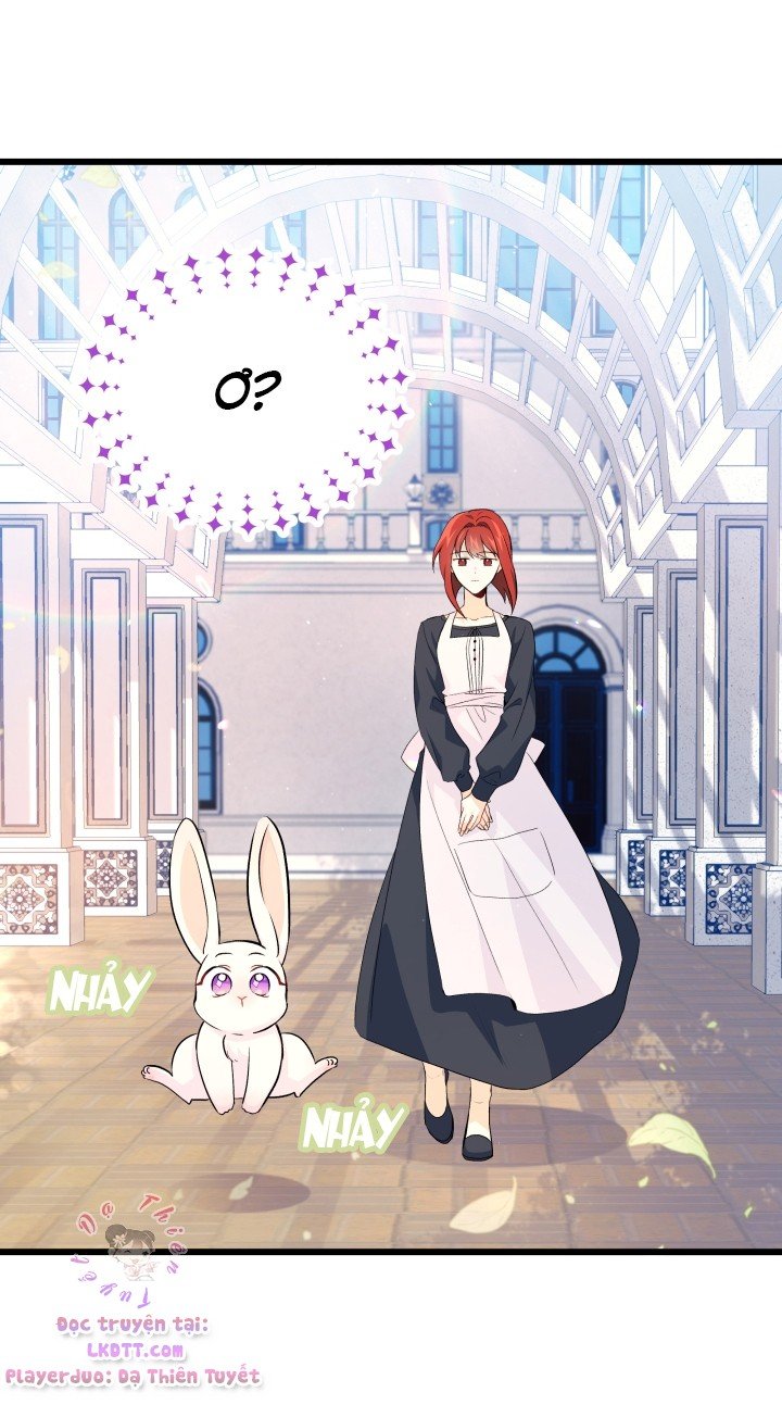 Mối Quan Hệ Cộng Sinh Giữa Báo Đen Và Thỏ Trắng: Chapter 11