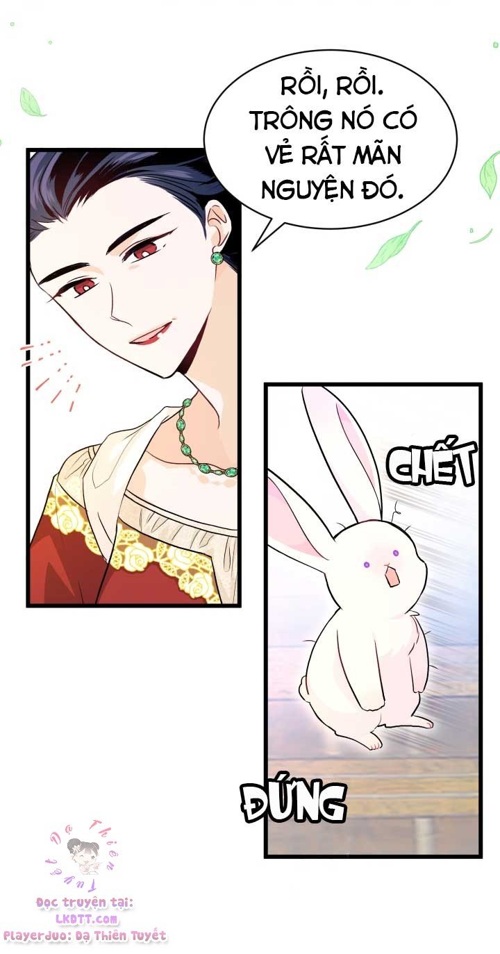 Mối Quan Hệ Cộng Sinh Giữa Báo Đen Và Thỏ Trắng: Chapter 11