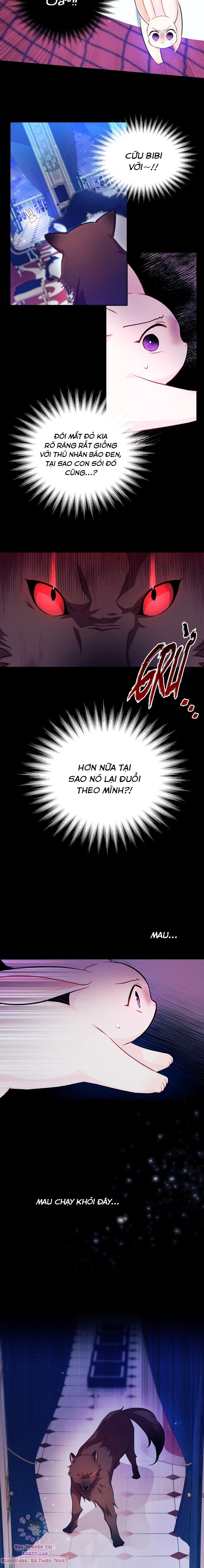 Mối Quan Hệ Cộng Sinh Giữa Báo Đen Và Thỏ Trắng: Chapter 14
